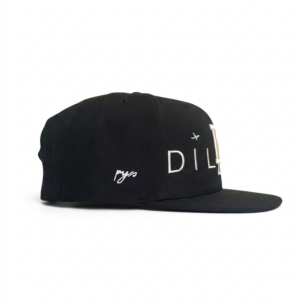 LA donuts SnapBack